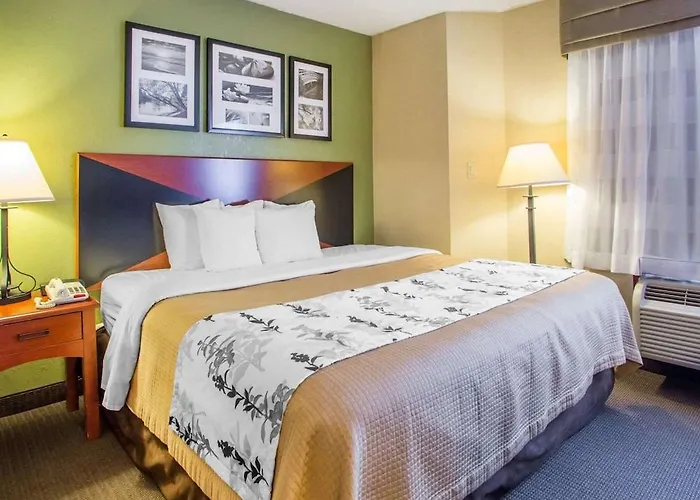 Sleep - Chicago Inn