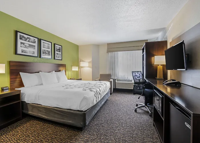 Sleep - Chicago 4*