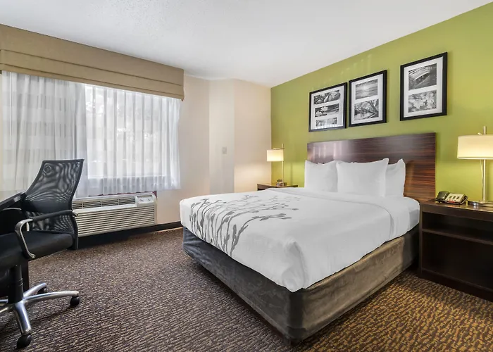 Sleep - Chicago Naperville